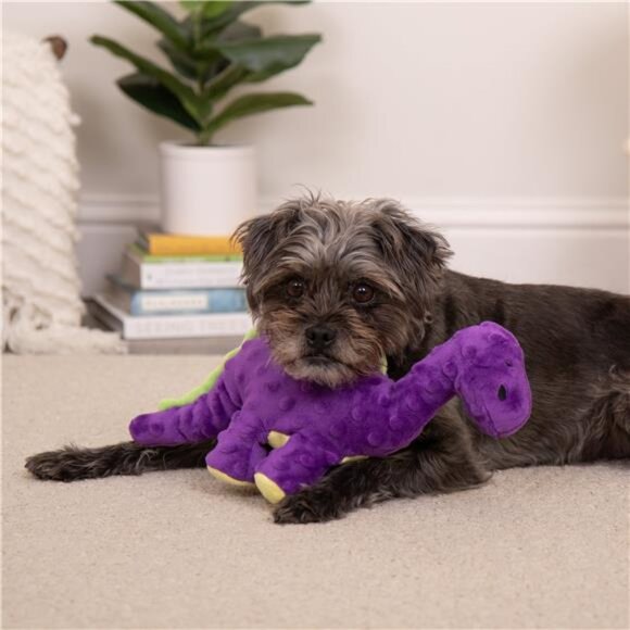 Dinos Bruto Plush Toy for Dogs with Chew Guard Technology - Picture 7 of 7